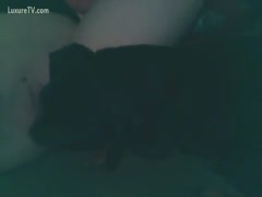 Licking a dog in the dark